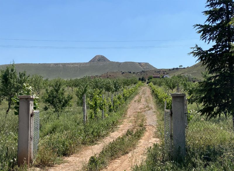 Anlage und Grundstück zum Verkauf in Avanos